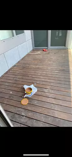 צביעת דק לפני